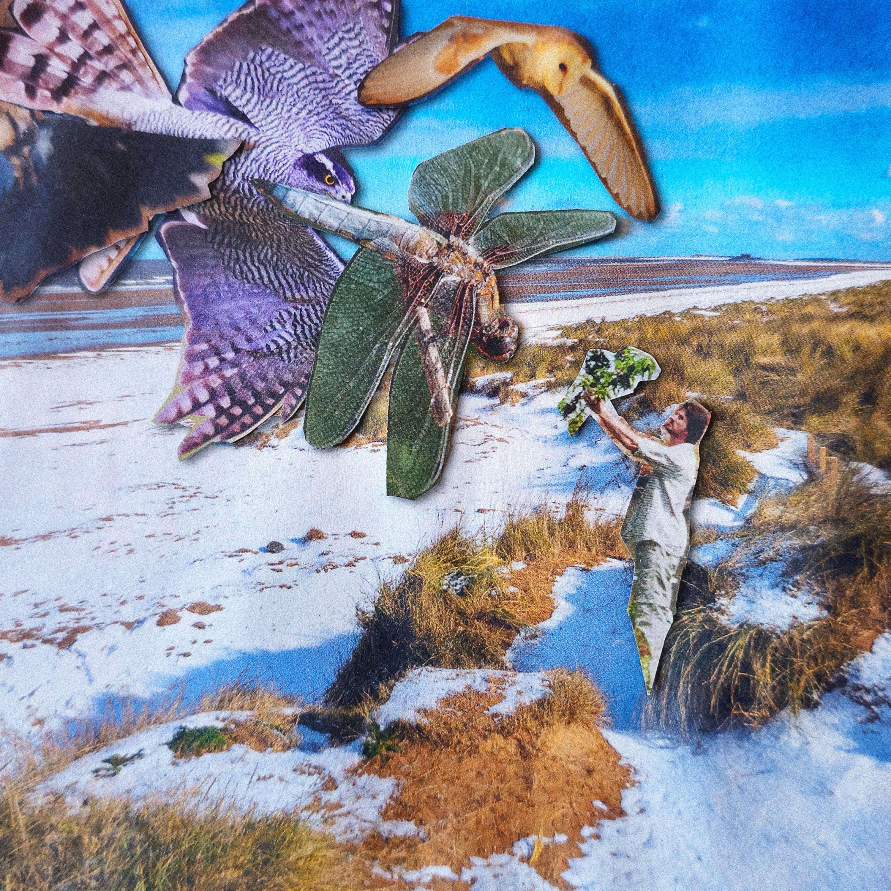 Family Art Club - Bird Watching Accident